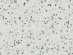 PVC Gerflor Mipolam Elegance EL 5 0350 Light Grey *** Cena od 9,20 €/m2